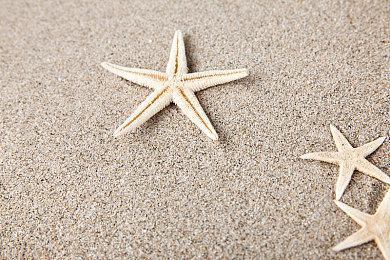 格斗游戏锦标赛EVO 2022阵容揭晓 《拳皇15》等新游在内